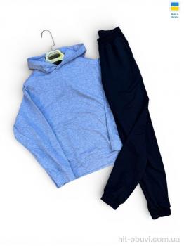 Спортивный костюм Sport style 115-1023 св.сірий з чорним