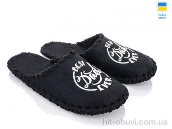 Тапки Active 310M чорний