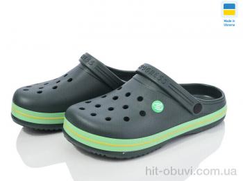 Кроксы Golden Lion 224 зелений