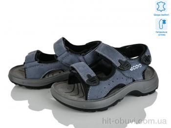 Сандалии KIMBOO T61-2D