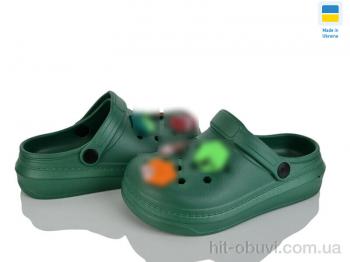 Кроксы Golden Lion 312-1 зелений