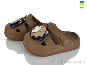 Кроксы Golden Lion 336 коричневий