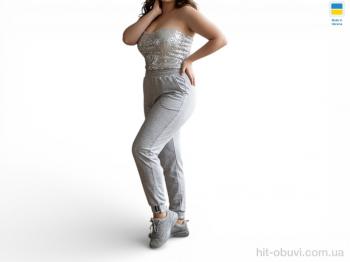 Спортивные брюки Sport style 10030 світло-сірий