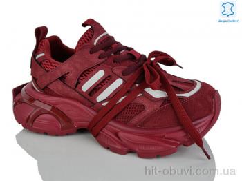 Кроссовки Teetspace-Trasta-Egga WDP2030-8