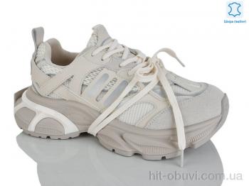 Кроссовки Teetspace-Trasta-Egga WDP2030-118