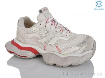 Кроссовки Teetspace-Trasta-Egga WDP2031-8