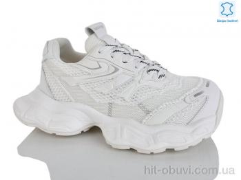 Кроссовки Teetspace-Trasta-Egga WDP2031-26