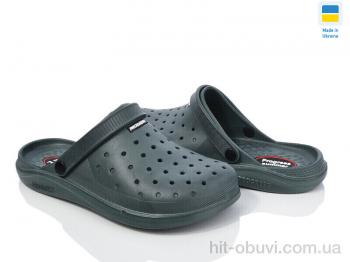 Кроксы Golden Lion 232 зелений