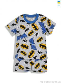 Костюм Kir15 221126 сірий