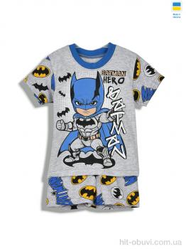 Костюм Kir15 221226 сірий