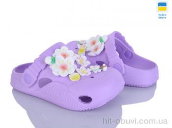 Крокси Golden Lion 330 лаванда