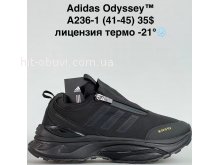 Кросівки Bah-Shoes A236-1
