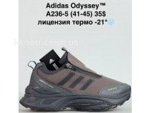 Кросівки Bah-Shoes A236-5