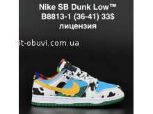 Кросівки  Nike B8813-1