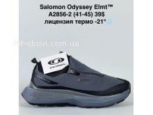 Кросівки Bah-Shoes A2856-2