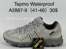 Кросівки Supo A2887-9