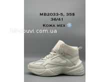 Кросівки Nike MB2033-5