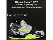 Кросівки  Nike A6066-14