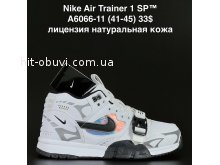 Кросівки  Nike A6066-11