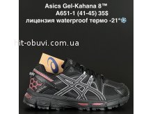 Кроссовки Alaska A651-1