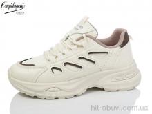 Кроссовки Dageni M9903-3