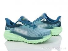 Кросівки Violeta HD74 (1106)-10 green-navy