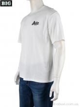 Футболка BIG 4072-M01-2 white