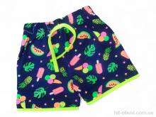 Шорти Kids-modnik 11002 прінт морозиво