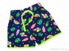 Шорти Kids-modnik 11003 прінт морозиво