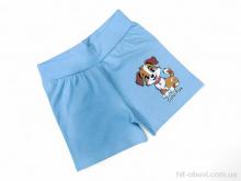 Шорти Kids-modnik 13142 блакитний