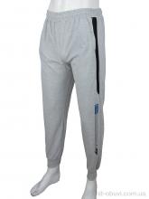 Спортивные брюки Red Hat 1119 l.grey