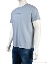 Футболка Мир 4117-NT56-21-5 grey