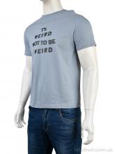 Футболка Мир 4117-NT48-12-5 grey