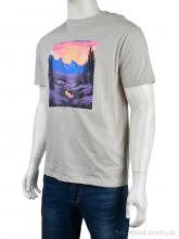 Футболка Мир 4117-NT48-18-3 grey