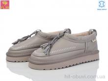 Туфли PLPS 5851-1 grey
