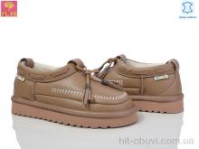 Туфли PLPS 5851-1 camel