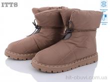 Дутики ITTS R20 old