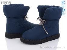 Дутики ITTS R21 old