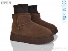Угги ITTS F249-24