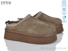 Уги ITTS A1702-43