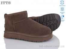 Угги ITTS S9960-35