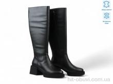 Чоботи Allshoes 189467