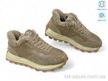 Кросівки Allshoes 190222