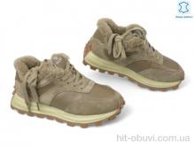 Кросівки Allshoes 192183