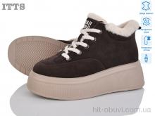 Черевики ITTS DD7570-41