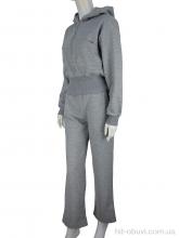 Спортивний костюм Fabullok WLT4366 grey