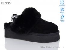 Уги ITTS A1701-1