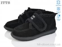 Уги ITTS, DX11-1