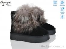 Уги Dageni HA5887-1