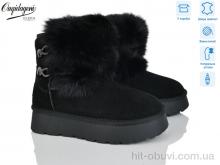 Уги Dageni HA5889-1B